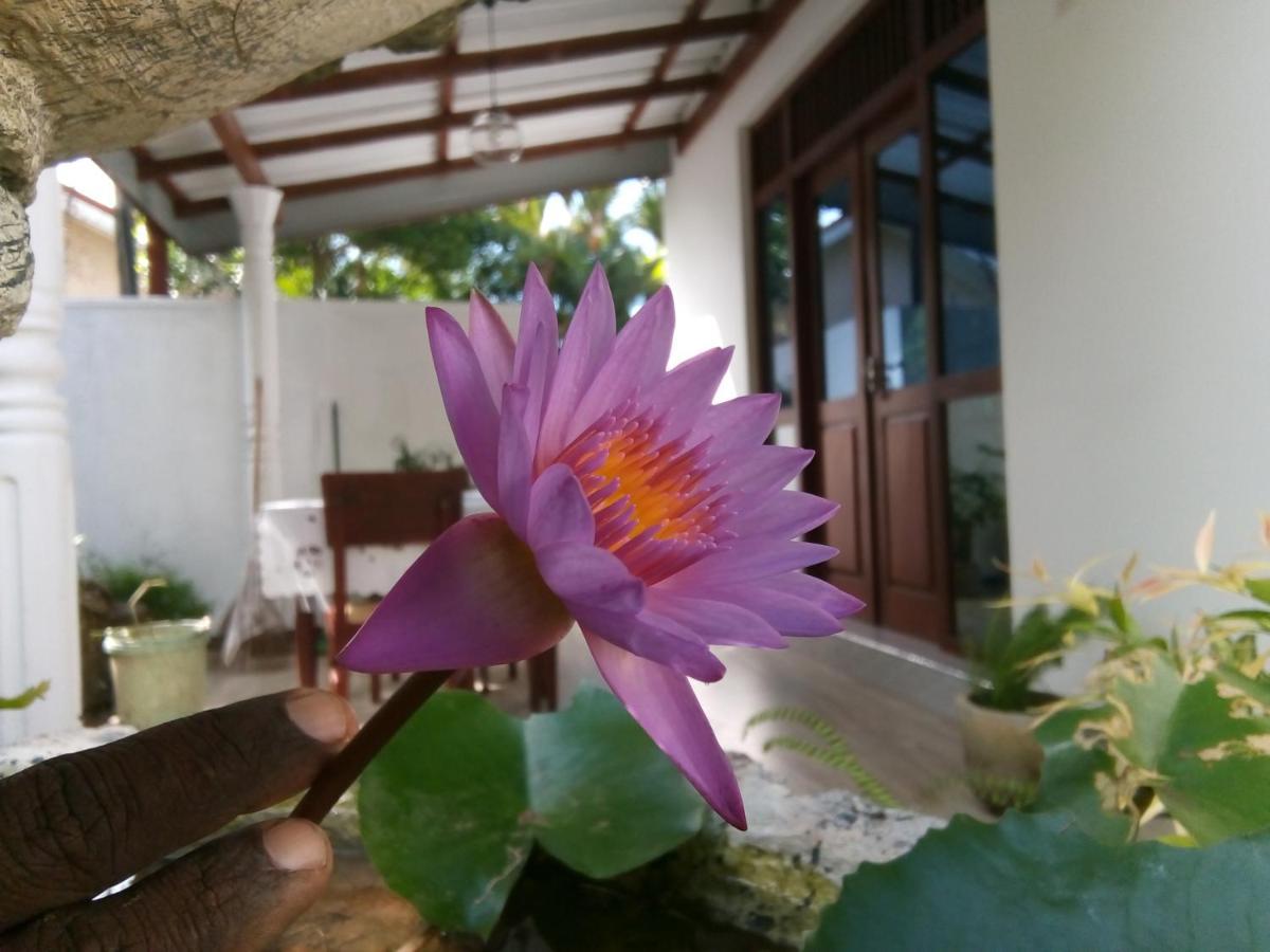 Sisila Villa 本托塔 外观 照片